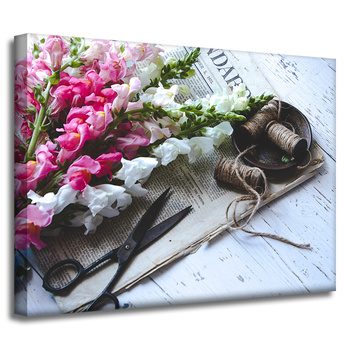 Obraz na plátně Botanika Snapdragon_2 40x30 cm