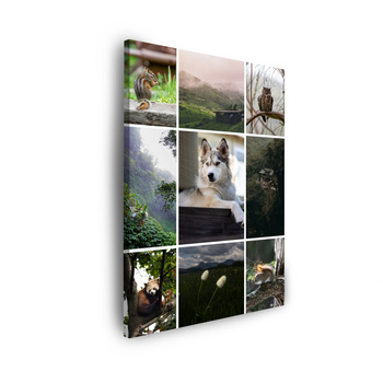 Fotomalba - Vaše fotografie na plátně 30x40 cm