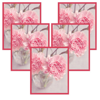 5x rám Amarant 24x30, I L13,15,056, plexi