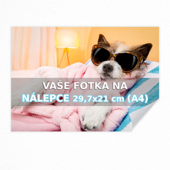 Nálepka na zeď s tvůrcem A4