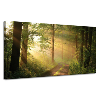 Obraz na plátně Sunlight Forest Path Nature 120x60 cm