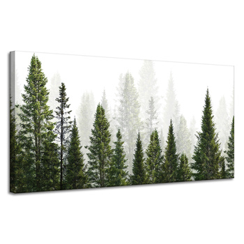 Obraz na plátně Rain Forest Nature Trees 120x60 cm