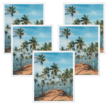 5x bílý rám 24x30, I L13,15,063, plexi