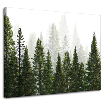 Obraz na plátně Rain Forest Nature Trees 100x80 cm