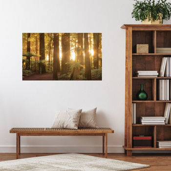 Obraz na plátně Sun Rays Forest Trees 120x70 cm