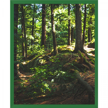 Fotorámeček 24x30 cm zelený - fotorámeček