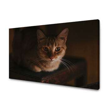 Obraz na plátně Zvířata Kočka 40x30 cm