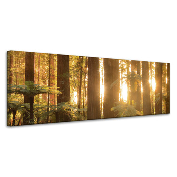 Obraz na plátně Sun Rays Forest Trees 120x40 cm