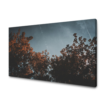 Obraz na plátně Příroda Pomerančové korunky stromů 40x30 cm