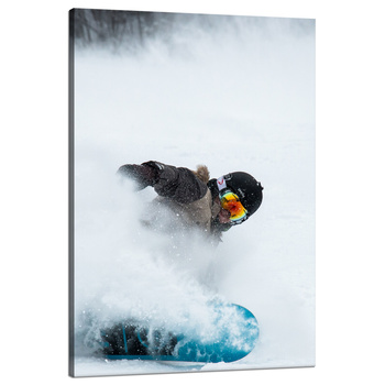 Obraz na plátně Snowboard Snow Winter 80x120