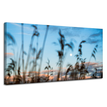 Obraz na plátně Nature Glade Meadow Sunrise 120x60