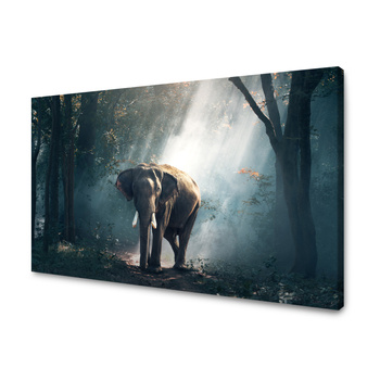 Obraz na plátně Zvířata slon 100x80 cm