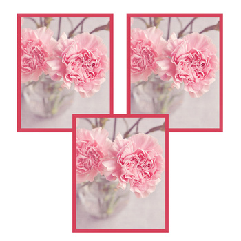 3x rám Amaranth 24x30, I L13,15,056, amarantové plexi