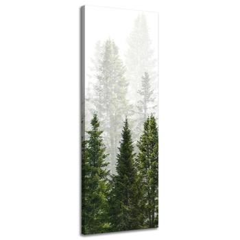 Obraz na plátně Rain Forest Nature Trees 40x120 cm