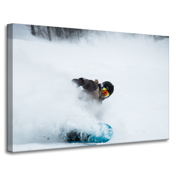 Obraz na plátně Snowboard Snow Winter 90x60