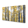 Obraz na plátně Žluté březové listy Přírodní jaro 120x80 cm