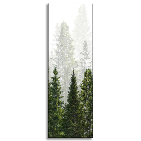 Obraz na plátně Rain Forest Nature Trees 40x120 cm