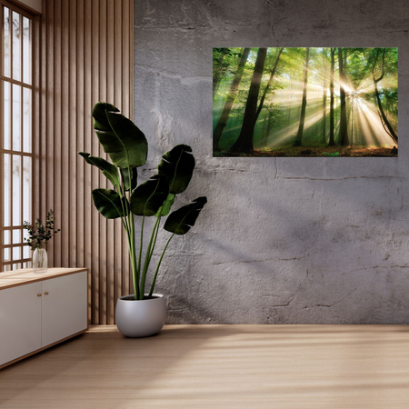 Obraz na plátně Slunce v lese Stromy Příroda 100x60 cm