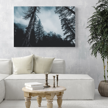 Obraz na plátně Příroda Koruny stromů 40x30 cm