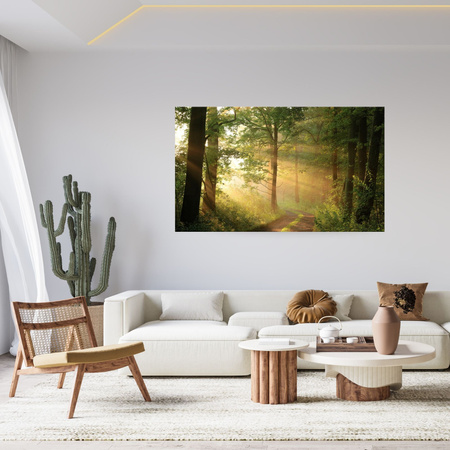 Obraz na plátně Sunlight Forest Path Nature 120x80 cm