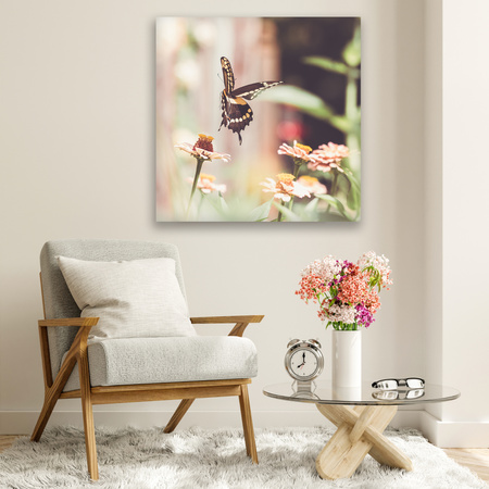 Obraz na plátně Příroda Hmyz Butterfly Flowers Jaro Léto 90x90