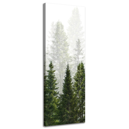 Obraz na plátně Rain Forest Nature Trees 40x120 cm