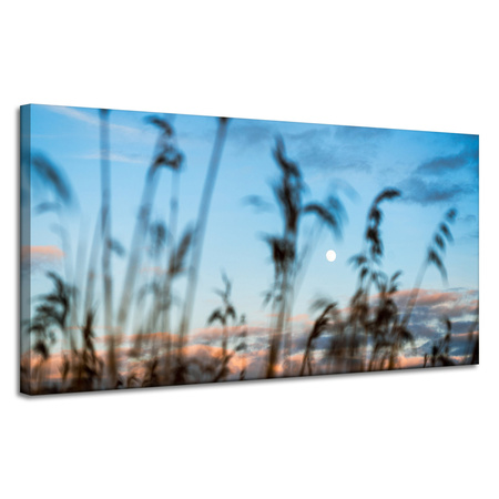 Obraz na plátně Nature Glade Meadow Sunrise 120x60