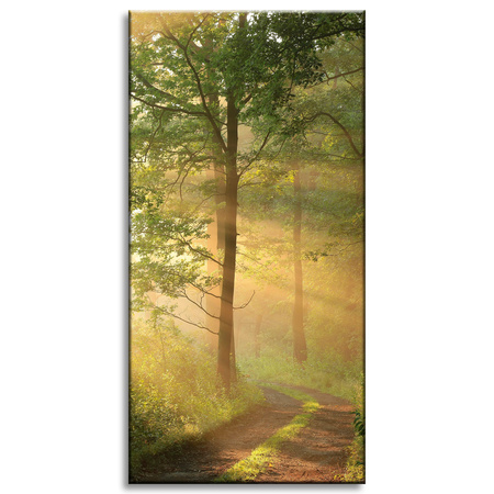 Obraz na plátně Sunlight Forest Path Nature 60x120 cm
