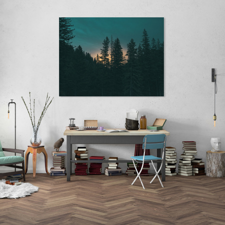 Obraz na plátně na plátně přírodní les za soumraku 40x30 cm