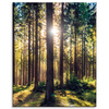 Obraz Lesní slunce Stromy Jarní ráno 80x100 cm