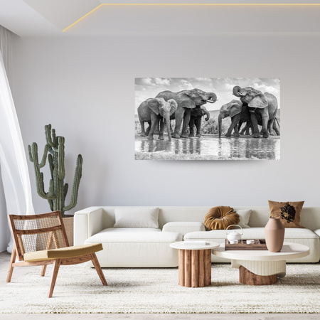 Obraz na plátně Sloni u vody Šedá příroda 100x80 cm