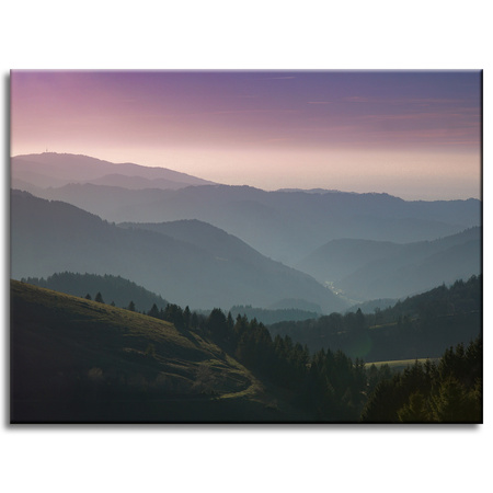 Obraz na plátně Přírodní cesta 40x30 cm