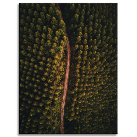 Obraz na plátně Přírodní cesta z ptačí perspektivy 30x40 cm