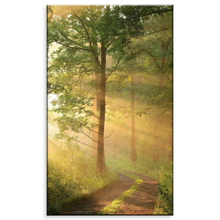 Obraz na plátně Sunlight Forest Path Nature 60x100 cm
