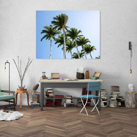 Obraz Nature Palms 40x30 cm