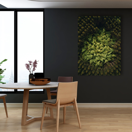 Obraz na plátně Stromy přírody z ptačí perspektivy 80x120