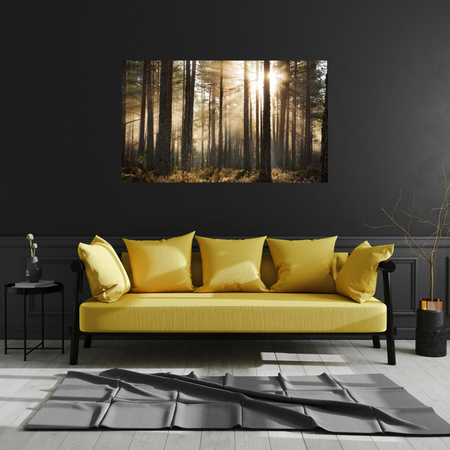 Obraz na plátně Slunce v lese Studené barvy Tráva 120x80 cm