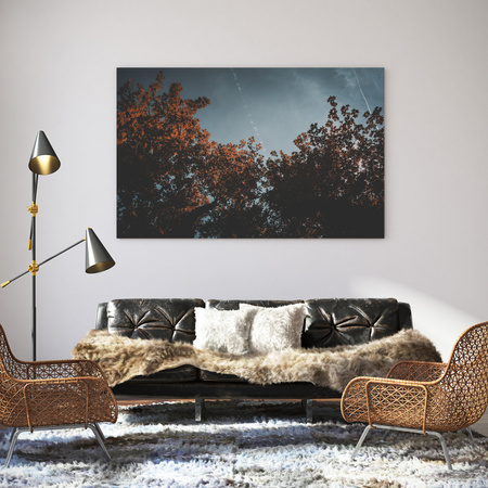 Obraz na plátně Příroda Pomerančové korunky stromů 40x30 cm