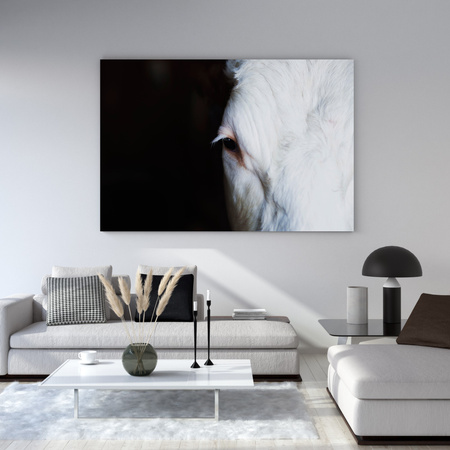 Obraz na plátně Zvířecí oko 40x30 cm