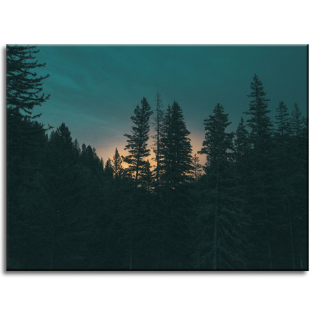 Obraz na plátně na plátně přírodní les za soumraku 40x30 cm
