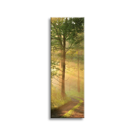 Obraz na plátně Sunlight Forest Path Nature 40x120 cm