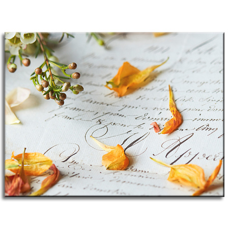 Obraz na plátně Botanika Květinové lístky 40x30 cm