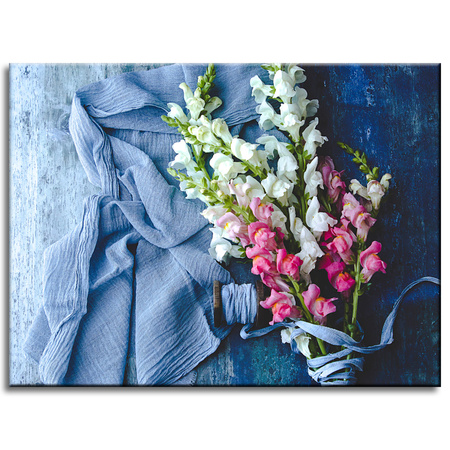 Obraz na plátně Zvířata Snapdragons na modré látce 40x30 cm