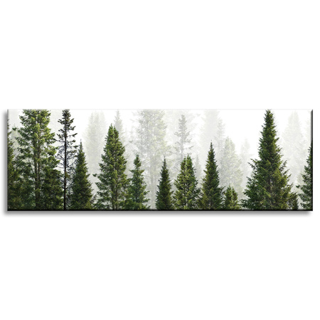 Obraz na plátně Rain Forest Nature Trees 120x40 cm