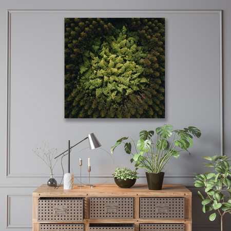 Obraz na plátně Stromy přírody z ptačí perspektivy 90x90