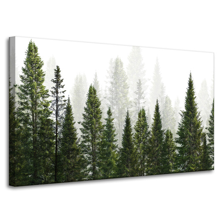 Obraz na plátně Rain Forest Nature Trees 100x60 cm