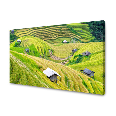 Obraz na plátně Příroda Terasy farmy 100x80 cm