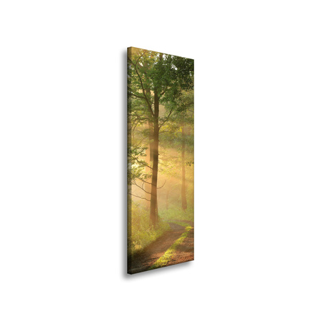 Obraz na plátně Sunlight Forest Path Nature 40x120 cm