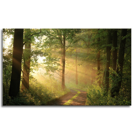Obraz na plátně Sunlight Forest Path Nature 100x60 cm