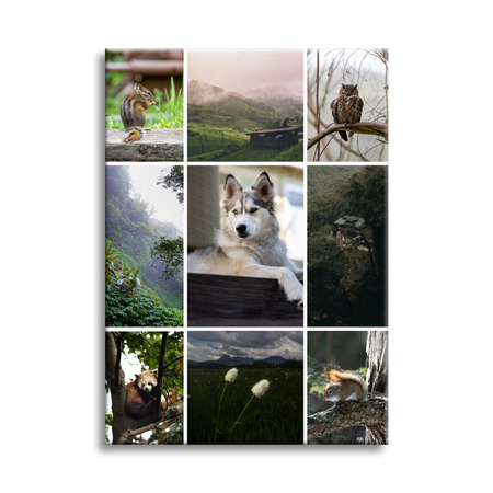 Fotomalba - Vaše fotografie na plátně 30x40 cm